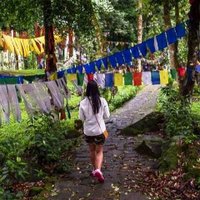 Syeda Ambia Zahan (@syedaambia1) 's Twitter Profile Photo