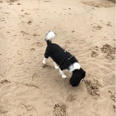 KarDav12's profile picture. 