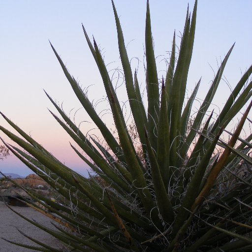 nance748's profile picture. 