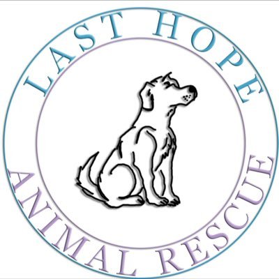 Last Hope Rescue are a completely not for profit, volunteer run foster based rescue in the UK. We rescue, rehabilitate and rehome dogs throughout the UK