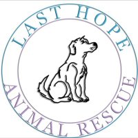 lasthopeanimalrescue (@lasthopeanimale) 's Twitter Profile