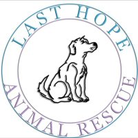 lasthopeanimalrescue(@lasthopeanimale) 's Twitter Profileg