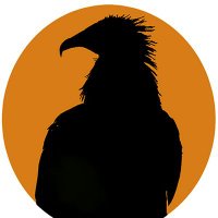 Barcelona Birding Point(@BCNbirding) 's Twitter Profile Photo