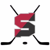 Salisbury Hockey(@sarumhockey) 's Twitter Profile Photo
