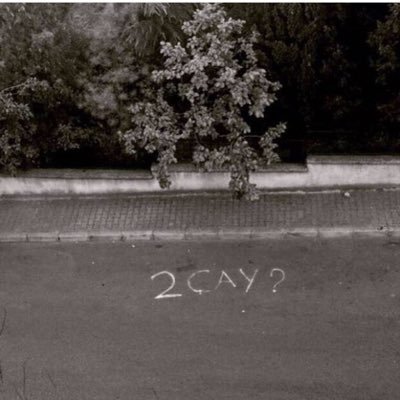 hayaledogru's profile picture. 