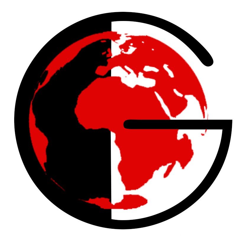 GlobeNetSecure's profile picture. 