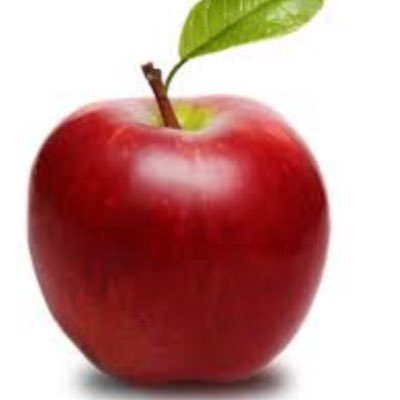 healthychildEHS's profile picture. One step at a time