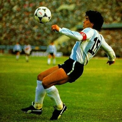 itanini's profile picture. 