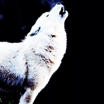 Benlumsden8's profile picture. subscribe to W3S Ben