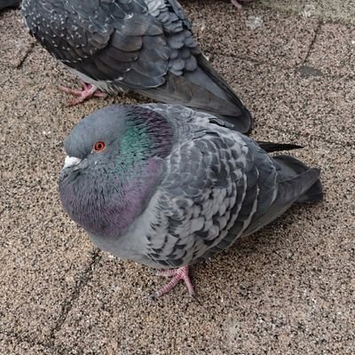 makeitpossible7's profile picture. 