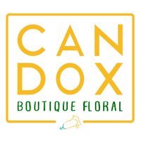 Candox Florería(@Candoxfloreria) 's Twitter Profile Photo
