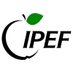 IPEF 204 (@ipef204) Twitter profile photo