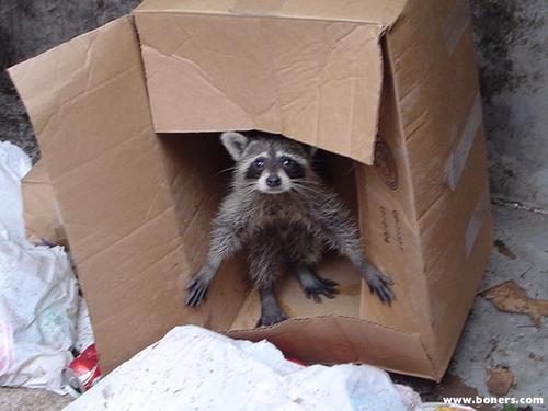 mikesetm's profile picture. New Media and Marketing intern who lives on video sites.