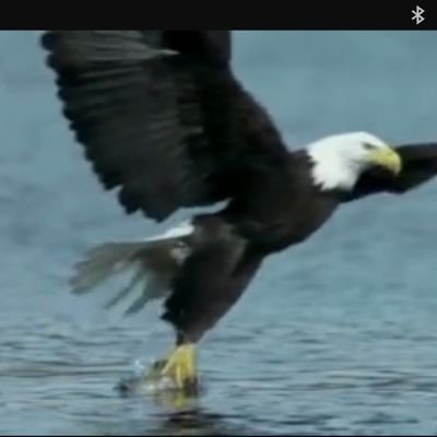 ahmetcavim's profile picture. 