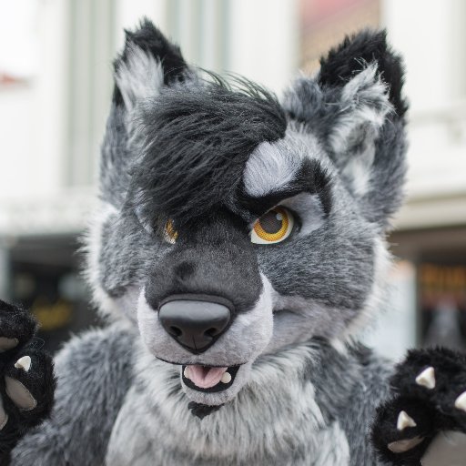 KevlarWuff Profile Picture