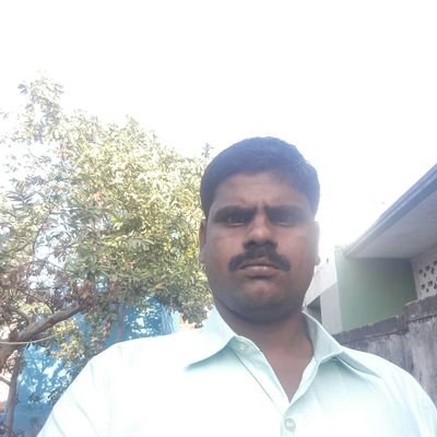 RAJAME12's profile picture. TV