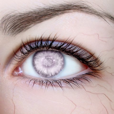 AnimaMuse's profile picture. 