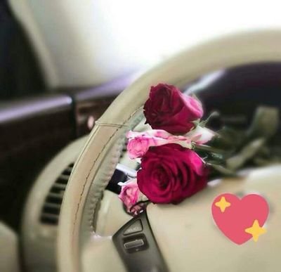 AhmedReeb's profile picture. 