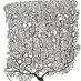Jesse Gilmer (@parallelfibers) Twitter profile photo Jesse Gilmer (@parallelfibers) Twitter profile photo