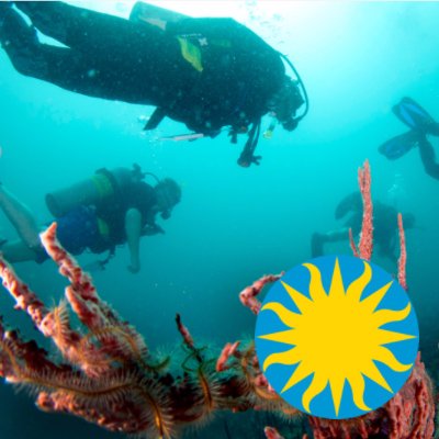 Scientific Diving related topics of interest from the Smithsonian Scientific Diving Program. See our Terms of Use: http://t.co/70kSwNTpMF