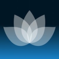 Zendom (@zendom_app) 's Twitter Profile