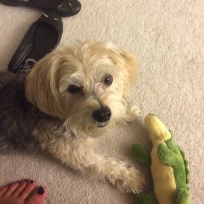 jan12171946's profile picture. I persist every day