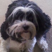 JistArgo (#Resist) (@jistargo) 's Twitter Profile