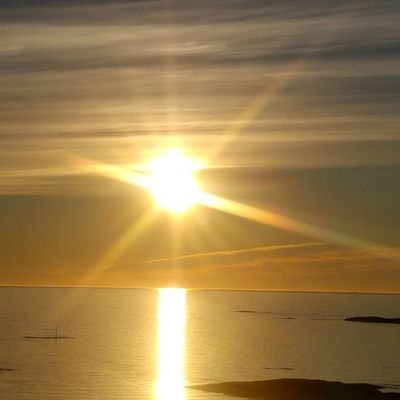 SharonBzzz's profile picture. The more I learn about nature, the more I find there is to learn. Love trees, gardens, bees, psychology and education. Hate traffic, litter, intolerance.