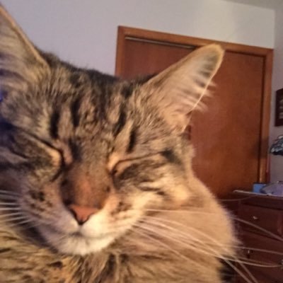 42fuzzylogic's profile picture. 