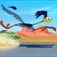 Wevsy (@wevsy) 's Twitter Profile Photo