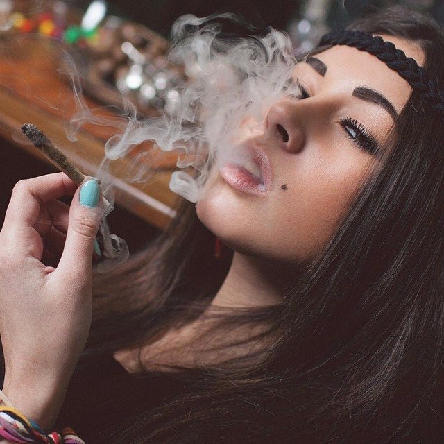 ChampCanna's profile picture. You can join us at Kensington Market to watch WWE pay-per-view events on FEBRUARY 12, 2017 @ 6 PM