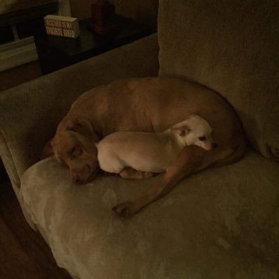 Phillyzeus76's profile picture. Avid Philadelphia sports fan, lover of numbers, good beer, whiskey/scotch and Prince!