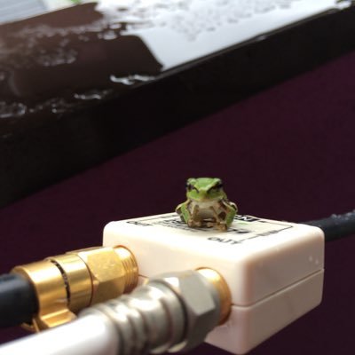 Kumakuma_Latour's profile picture. メメントモリW1R510〜 Lv400〜／魔法少女まどか☆マギカ Magia Exedra R150〜 Lv113〜 ／呪術廻戦ファントムパレード R87〜【終焉】†エンドライド †ドラガリアロスト †TWSR ʕ•ᴥ•ʔ ʕ•ᴥ•ʔ ♪ゲームおば