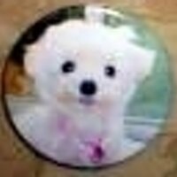 hiroshi mori (@hirosi_m) 's Twitter Profile