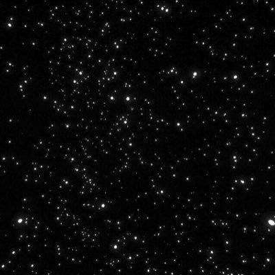 maybenexttimeUS's profile picture. 🔜