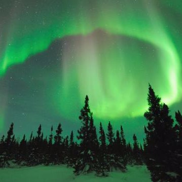 nordlicht69's profile picture. 