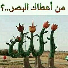 @وأَرِحْ فؤادكَ إن شعـرتَ بكُـربةٍ
@ في جَنَّةِ الرَّكعاتِ والسَّـجداتِ
@فَهُنـا تُفَـرَّجُ عنكَ كُـلُّ مُصـيبةٍ
@ويَعيشُ قَلبُكَ أَسْعدَ اللَّحَظاتِ