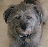 Copalife's profile picture. Involved with various companies like Copalife along with Building and Home Automation products always looking for inovation and to be at the front of technology