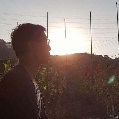 fsheep711's profile picture. 