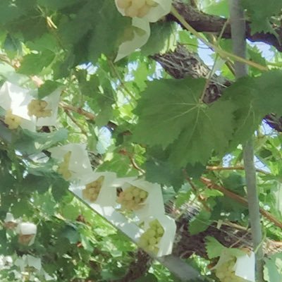 pkrs0613's profile picture. 