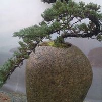 笑門萬福來 (@eckm1101) 's Twitter Profile