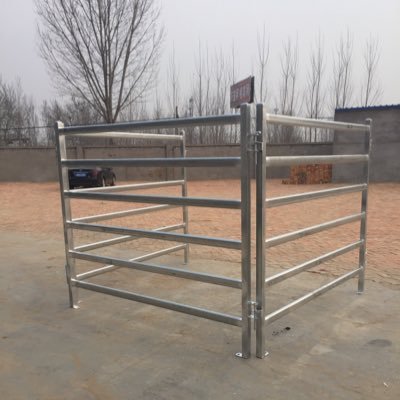 summer502502's profile picture. 