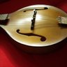 mandoisland's profile picture. Die besten Tipps zu Mandoline und Zupfmusik! Mandoline - Instrument des Jahres 2023