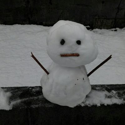 UGIOhYdmqFpacOH's profile picture. 