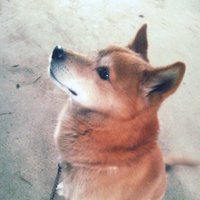 6番(豊福誠太) (@rokubanfs) Twitter profile photo