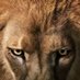 León Santillán (@dentrodelperro) Twitter profile photo León Santillán (@dentrodelperro) Twitter profile photo