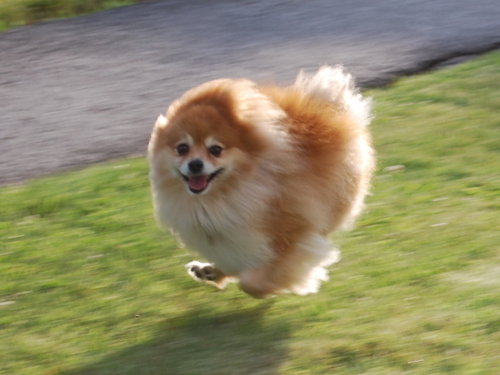 shrinknurse's profile picture. 