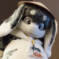 ろっ太 (@rotta011) 's Twitter Profile Photo ろっ太 (@rotta011) 's Twitter Profile Photo