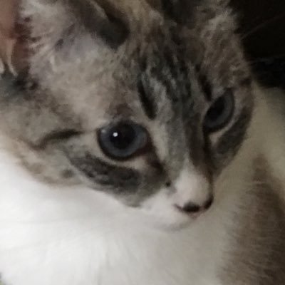 Gari1Gari's profile picture. Mother