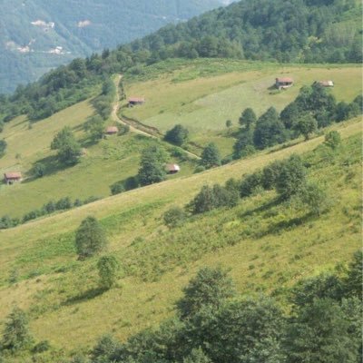 Smarttrader5's profile picture. 